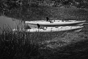 19th Oct 2017 - Kayaks on the Arkansas River??