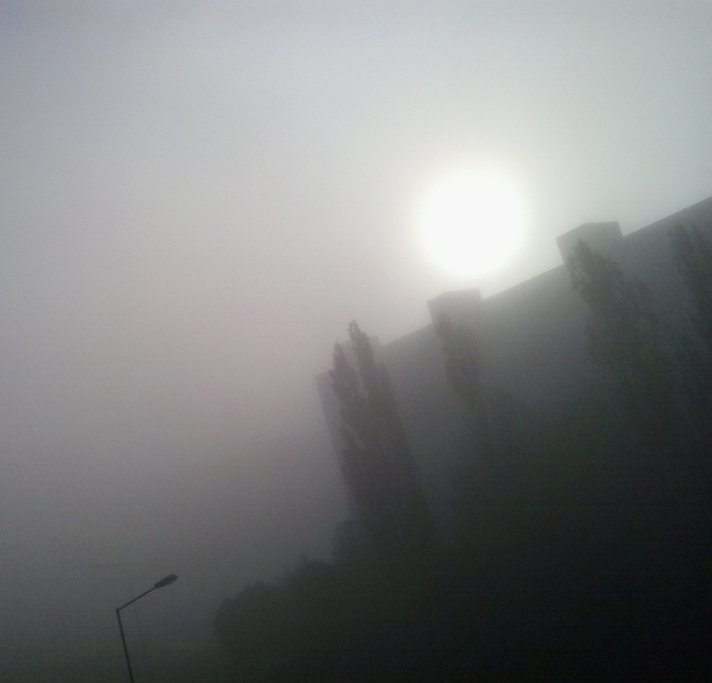 And the sun kissed the fog by ivm