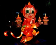 20th Oct 2017 - Chinese Lantern Festival