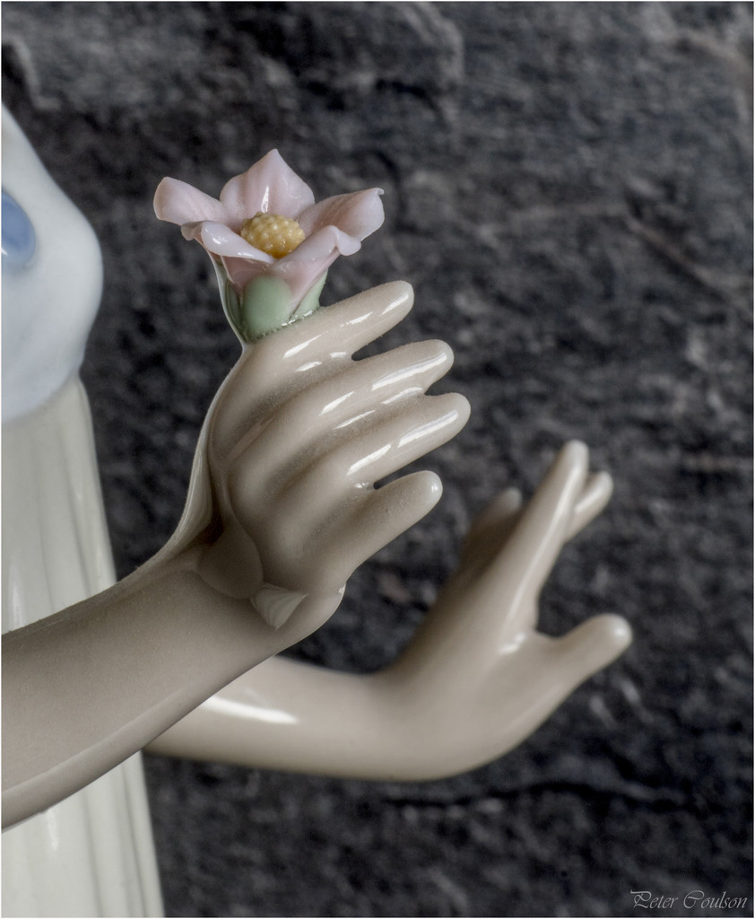 Porcelain Hands by pcoulson