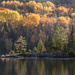 Fall Colours  by radiogirl