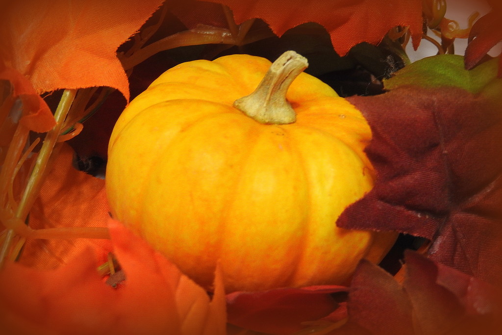 Autumn pumpkin by homeschoolmom