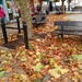 Havant West Street in Autumn. by jmdspeedy