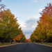 Entering My Neighborhood, Fall Edition by tina_mac