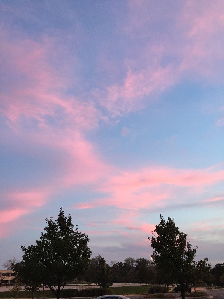 Pink sky at night  by kchuk