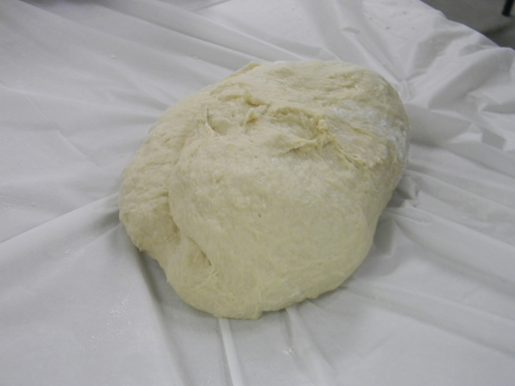 Challah Dough by sfeldphotos