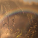 Lucky Rainbow by jesperani