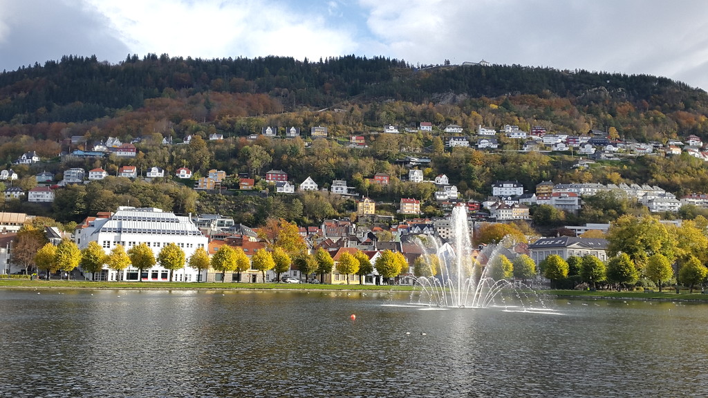 Beautiful Bergen  by orchid99