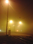 22nd Oct 2017 - Night of the living fog