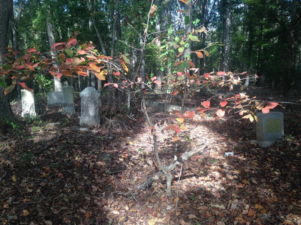 Graveyard Behind Our Meetinghouse  by gratitudeyear