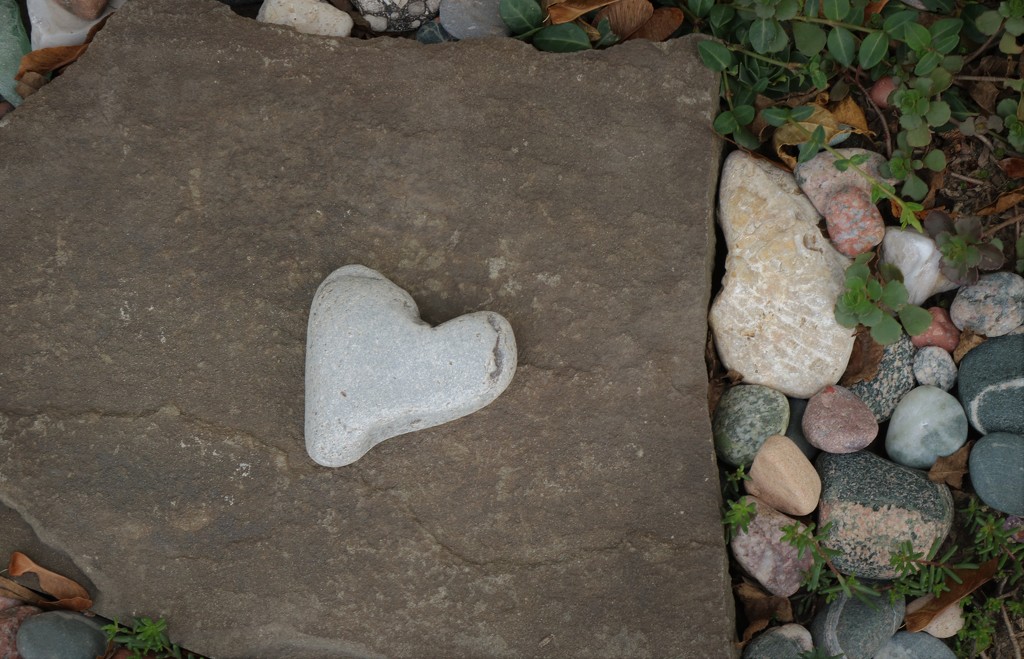 heart of stone by edorreandresen