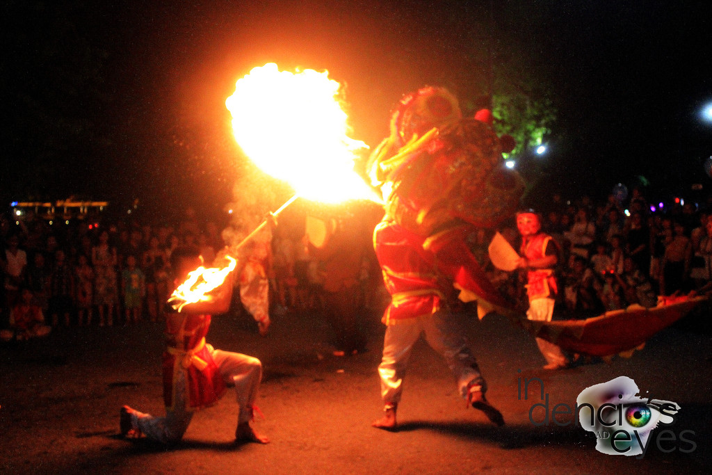 Fire Dragon Dance by iamdencio