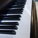 Piano Keys by salza