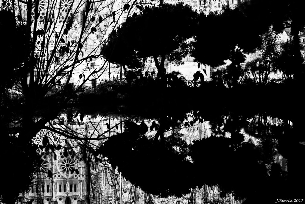 Dark mirror by jborrases