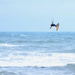 Kite Boarder by dkbarnett