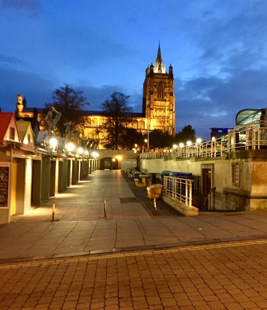 Norwich In The Evening by gillian1912