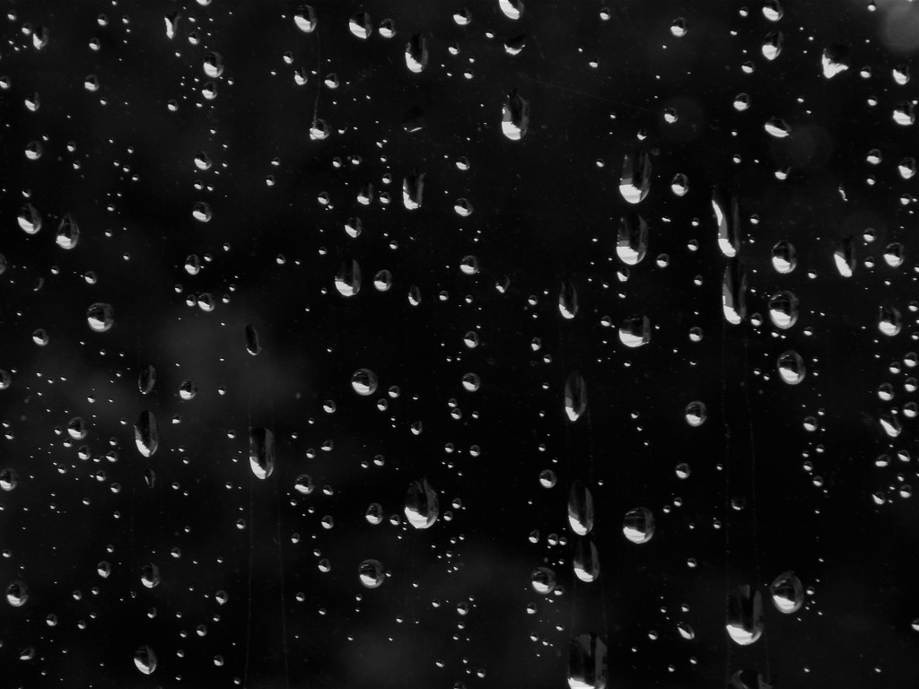 Rain by suzanne234