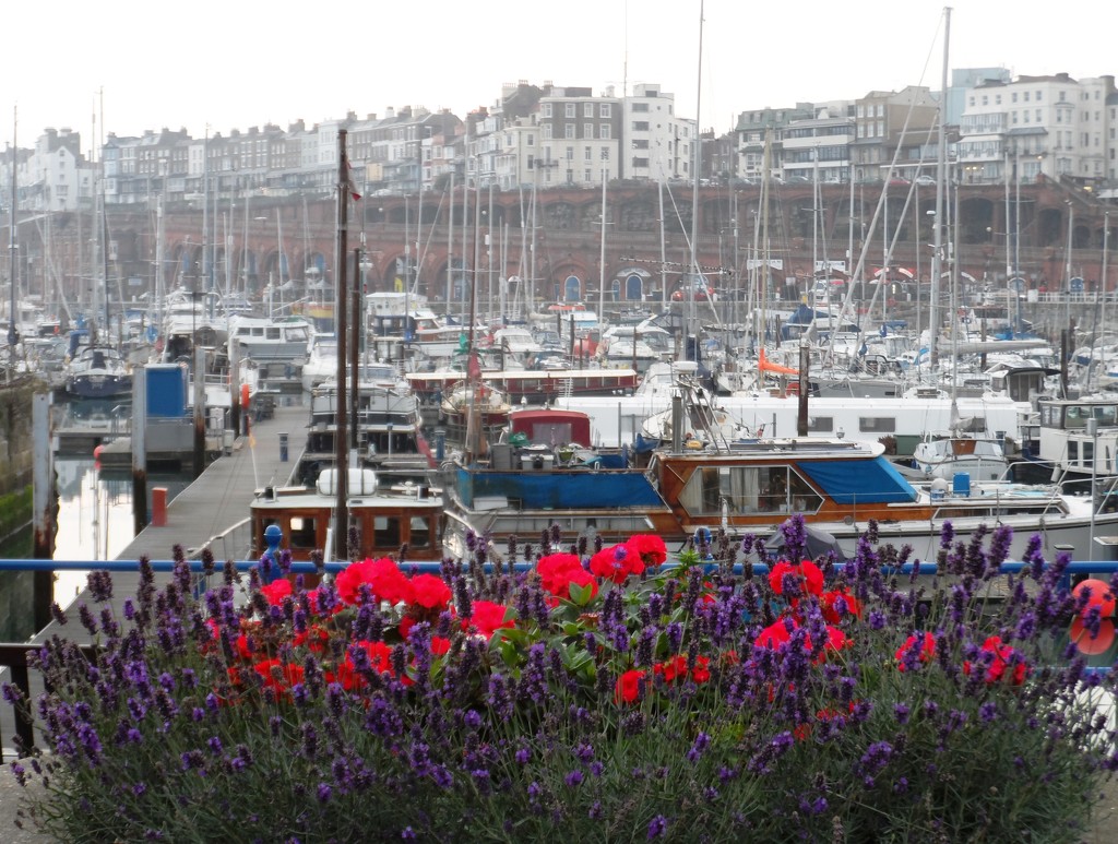 Flowery Boat Scene by will_wooderson