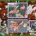 Autumn leaves and flowering plants. by grace55