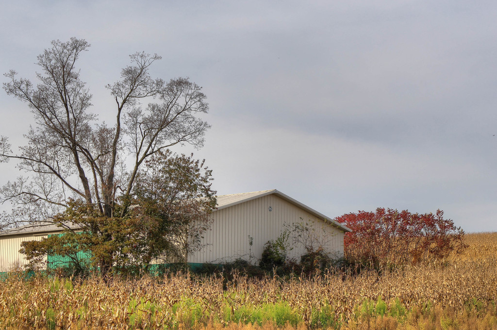 Barn in autumn by mittens