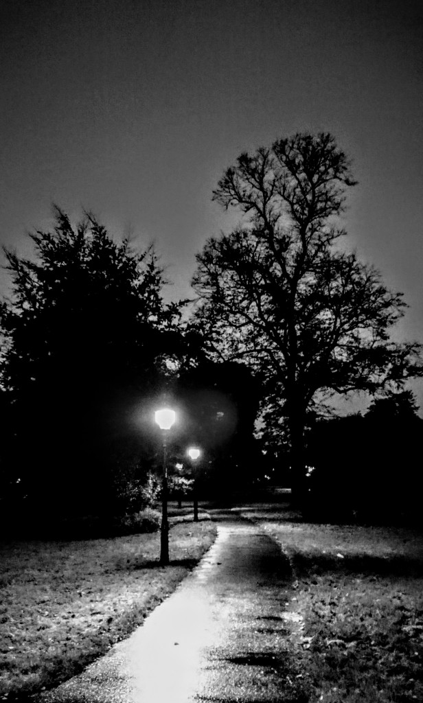 Evening path...  by peadar