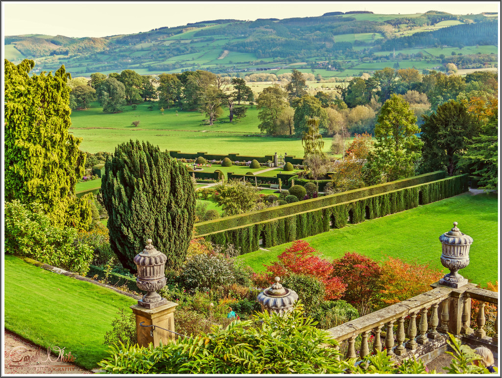 A View Across The Formal Gardens Of Powis Castle by carolmw