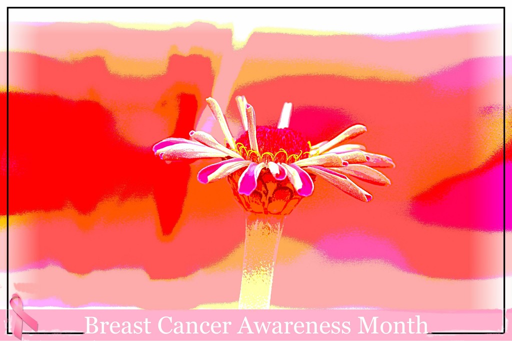 Breast Cancer Awareness Month by olivetreeann