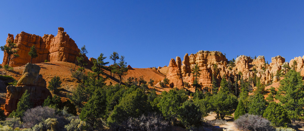 Red Canyon beauty by ggshearron