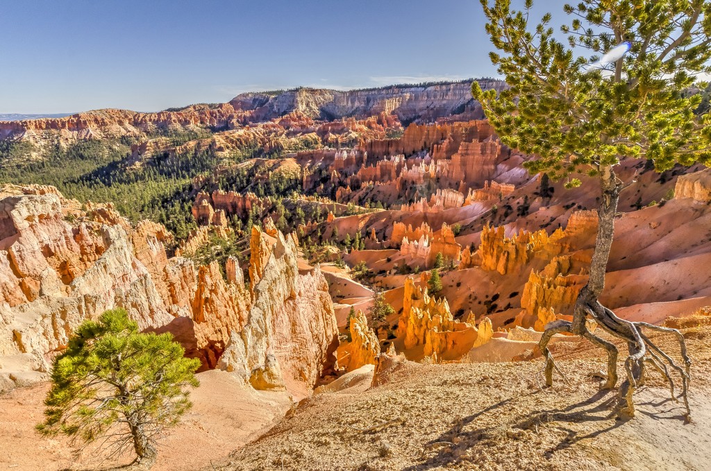 Bryce Canyon #1 by ggshearron