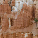 Bryce Canyon #3 by ggshearron