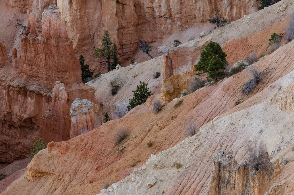Bryce Canyon #2 by ggshearron