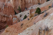 17th Oct 2017 - Bryce Canyon #2