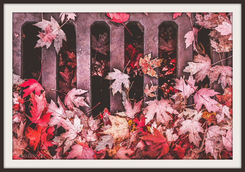 Fall Drain by vera365