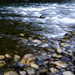 Stones and river rapids by dkbarnett