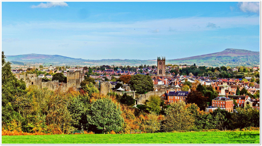Ludlow And Beyond From Whitcliffe Common by carolmw
