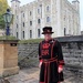 A wet Yeoman Guard (Beefeater) by bigmxx