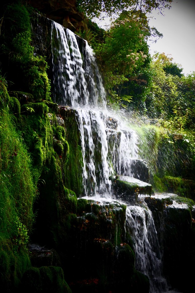 Bowood Waterfall by carole_sandford