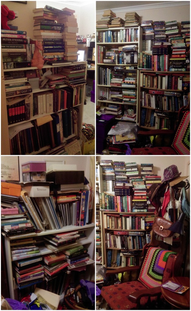 Book Hoarding?  by mozette