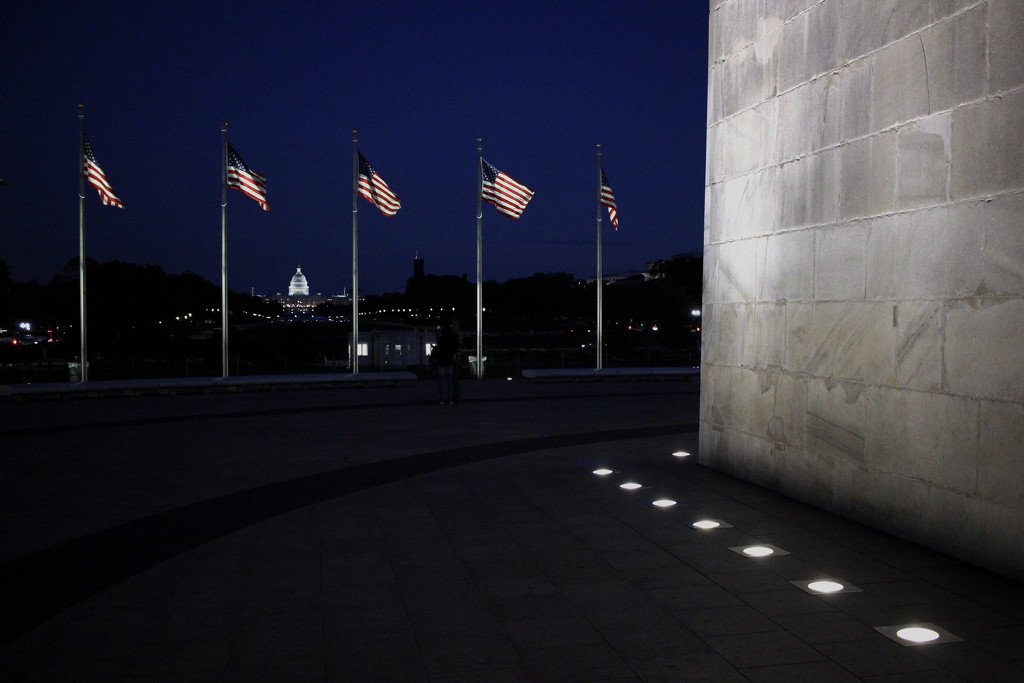 Capitol, flags and washington monument by vincent24