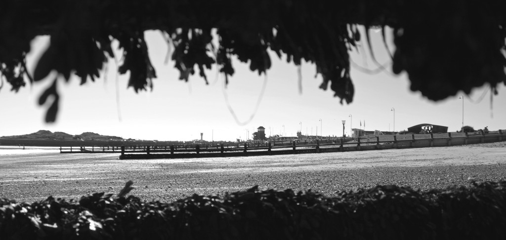 Littlehampton beach in black and white by josiegilbert