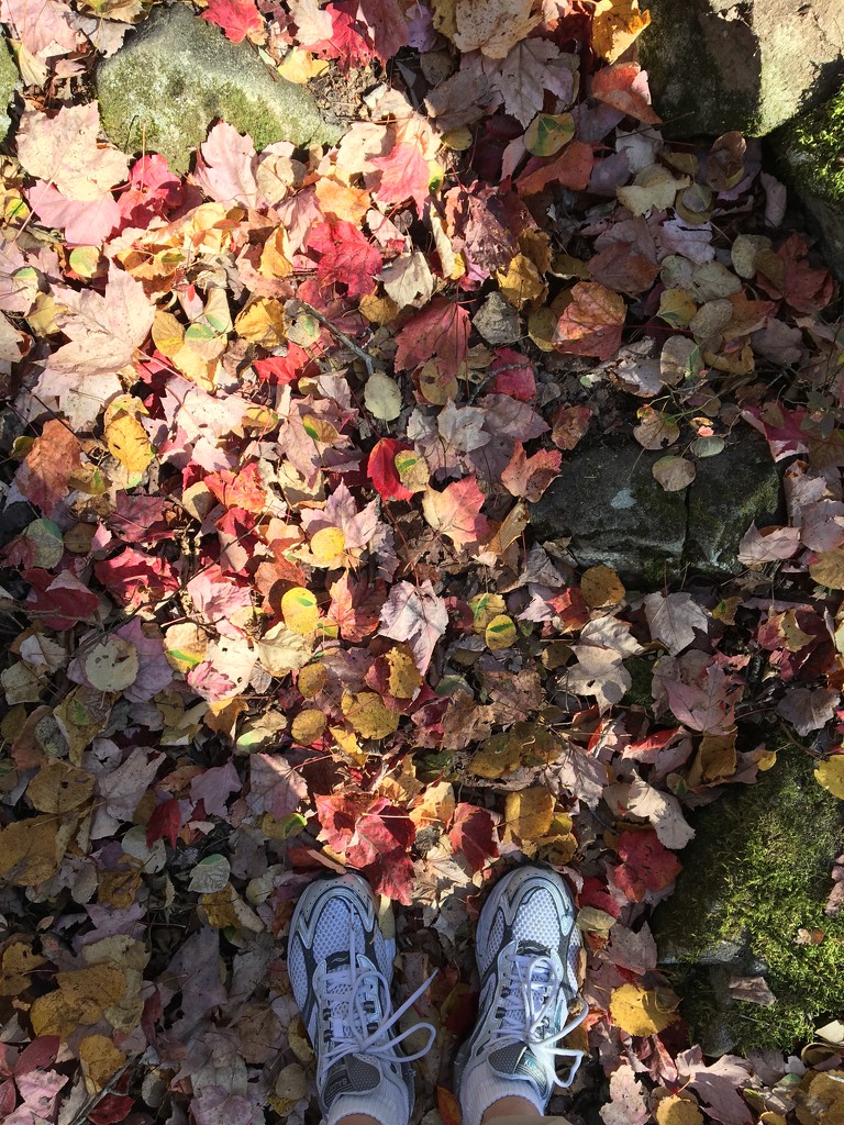Fall hike by radiogirl