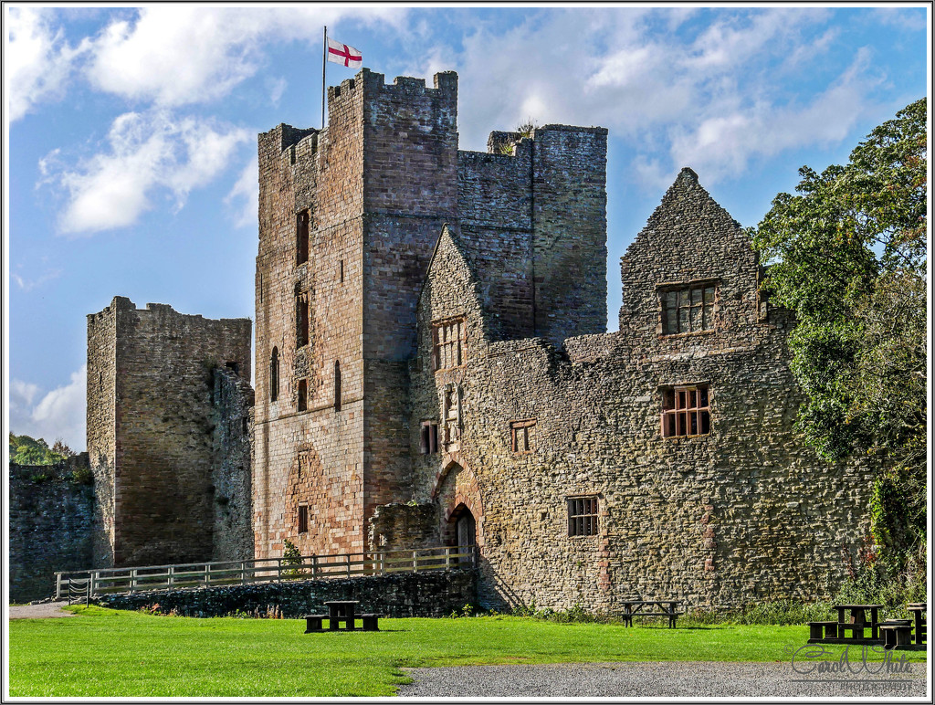 Ludlow Castle by carolmw