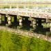 Green Lake Dock by seattlite