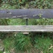 Old Bench by lifeat60degrees