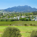 Stellenbosch  as seen from the golf course.... by ludwigsdiana