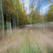 Race through trees by jon_lip