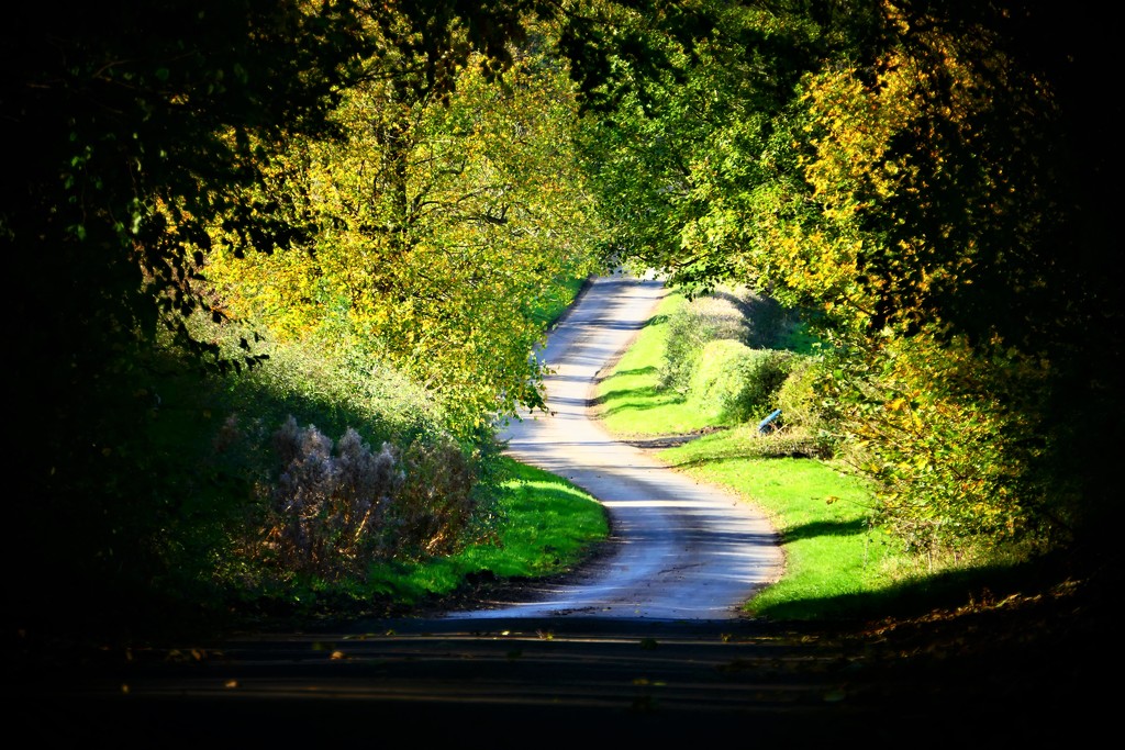 The Long and Winding Road by carole_sandford