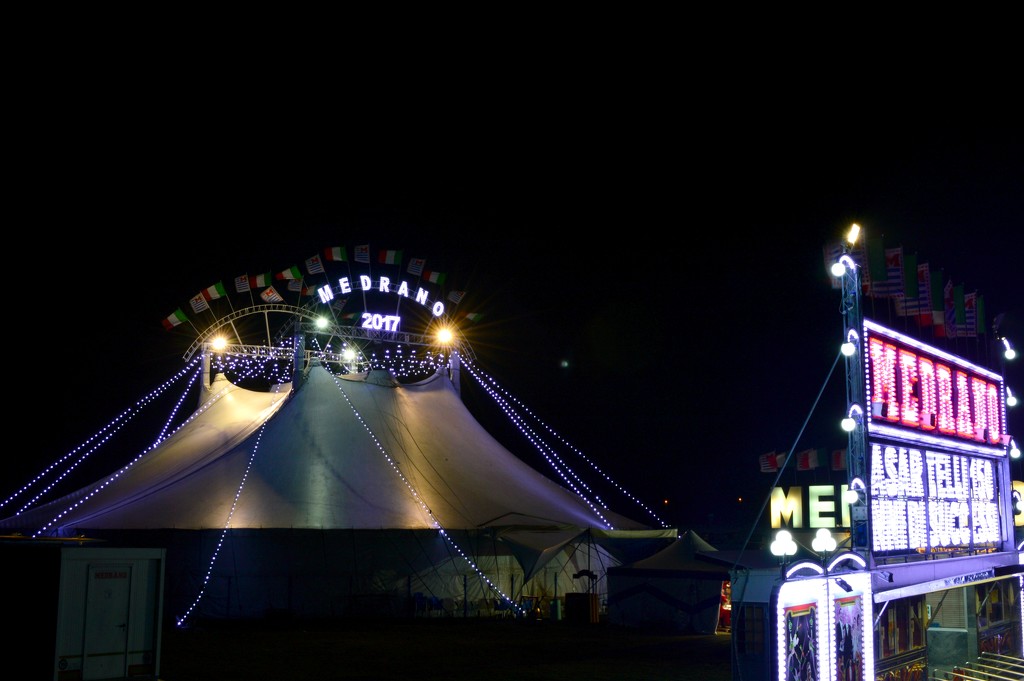 The circus at night by caterina