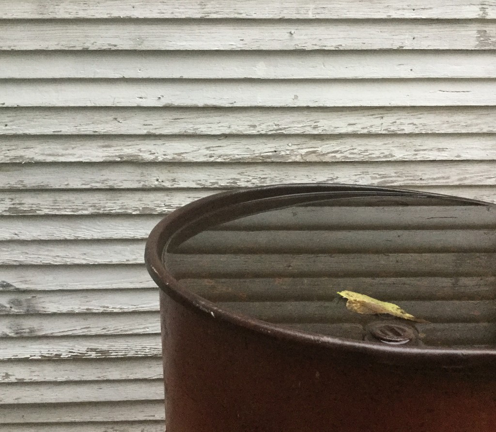 Composition with trash can and rain water by mcsiegle