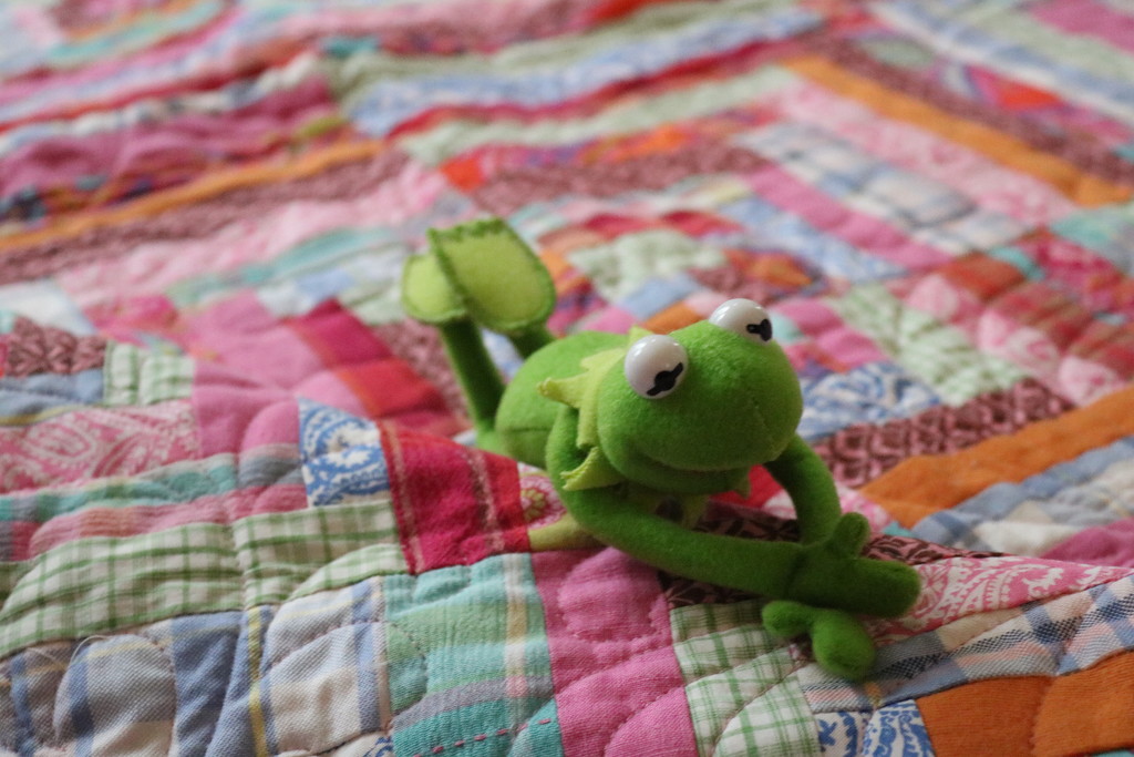 Kermit and quilt by edorreandresen
